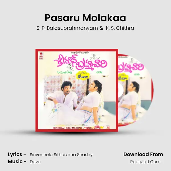 Pasaru Molakaa MP3 Song by S. P. Balasubrahmanyam Cover