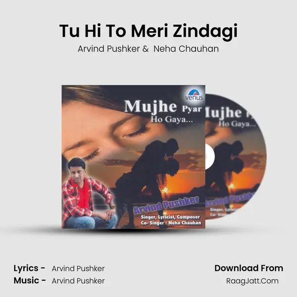 Tu Hi To Meri Zindagi mp3 song