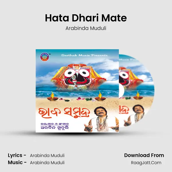 Hata Dhari Mate MP3 Song by Arabinda Muduli Cover