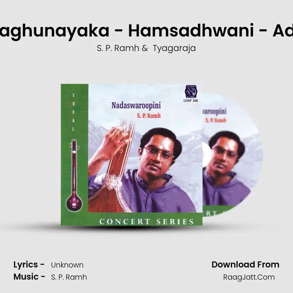 Raghunayaka - Hamsadhwani - Adi (Live) MP3 Song by S. P. Ramh Cover