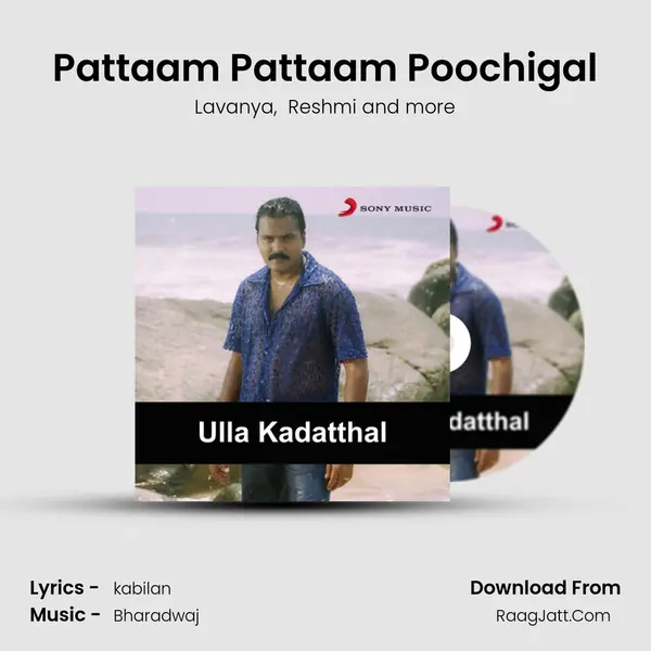 Pattaam Pattaam Poochigal MP3 Song by Lavanya Cover
