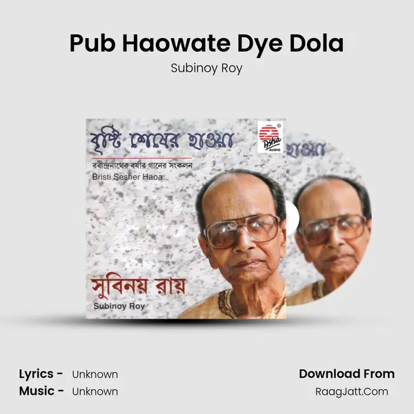 Pub Haowate Dye Dola MP3 Song by Subinoy Roy Cover