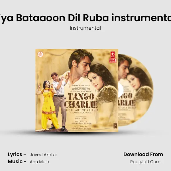 Kya Bataaoon Dil Ruba instrumental MP3 Song by Instrumental Cover