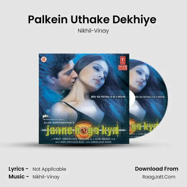 Palkein Uthake Dekhiye (Instrumental) MP3 Song by Nikhil-Vinay Cover