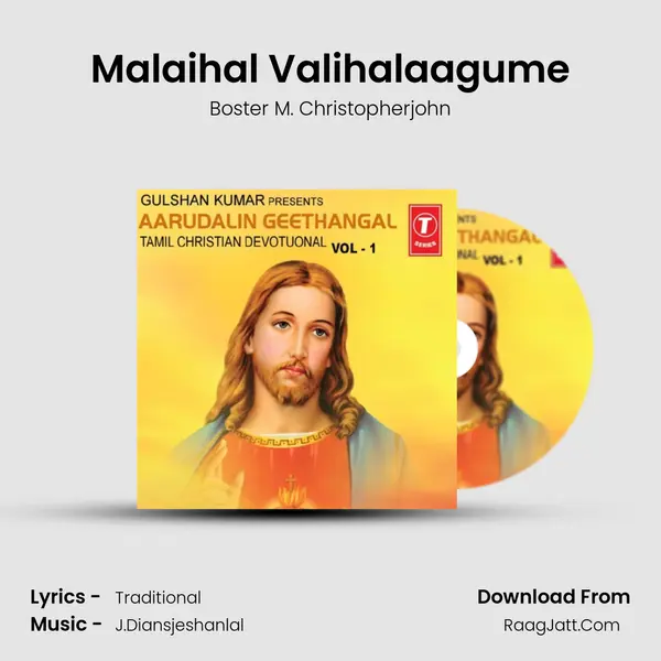 Malaihal Valihalaagume MP3 Song by Boster M. Christopherjohn Cover