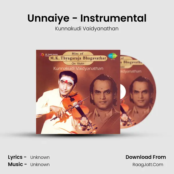 Unnaiye - Instrumental MP3 Song by Kunnakudi Vaidyanathan Cover