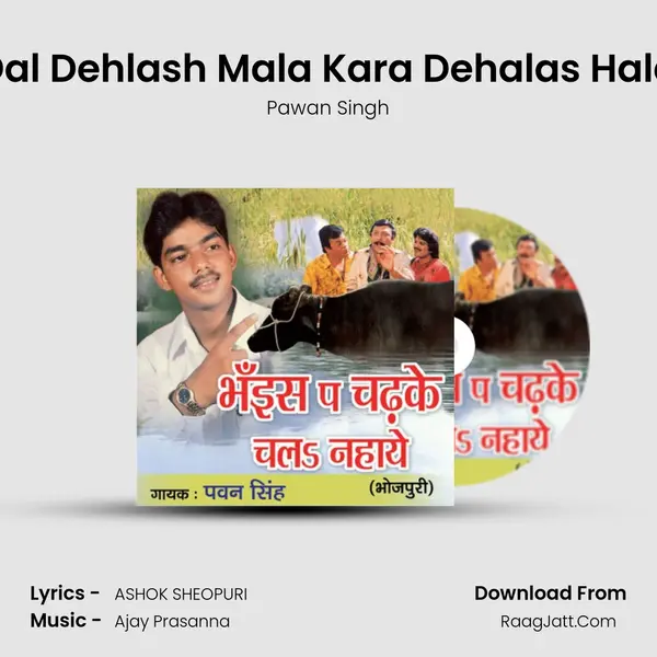 Dal Dehlash Mala Kara Dehalas Hala MP3 Song by Pawan Singh Cover