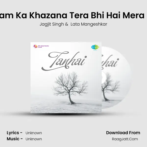 Gham Ka Khazana Tera Bhi Hai Mera Bhi Cover
