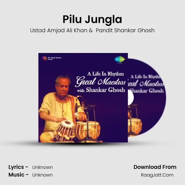 Pilu Jungla MP3 Song by Ustad Amjad Ali Khan Cover