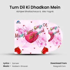 Tum Dil Ki Dhadkan Mein Cover