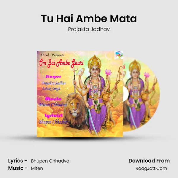 Tu Hai Ambe Mata Cover
