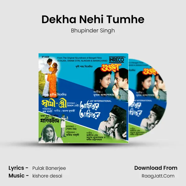Dekha Nehi Tumhe Cover