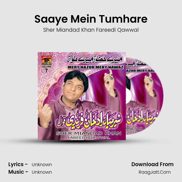 Saaye Mein Tumhare MP3 Song by Sher Miandad Khan Fareedi Qawwal Cover