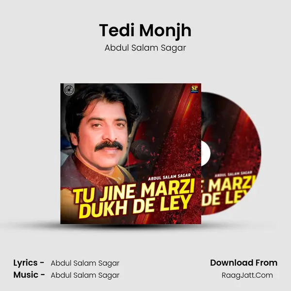 Tedi Monjh MP3 Song by Abdul Salam Sagar Cover