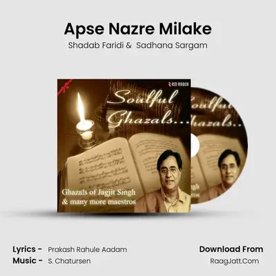 Apse Nazre Milake MP3 Song by Shadab Faridi Cover