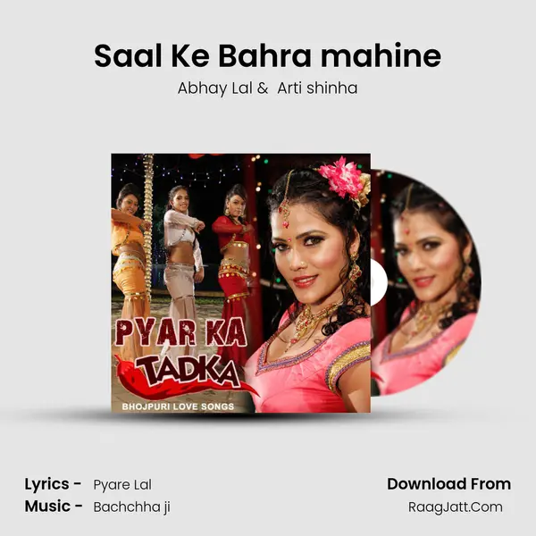 Saal Ke Bahra mahine MP3 Song by Abhay Lal Cover