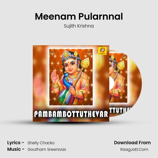 Meenam Pularnnal MP3 Song by Sujith Krishna Cover
