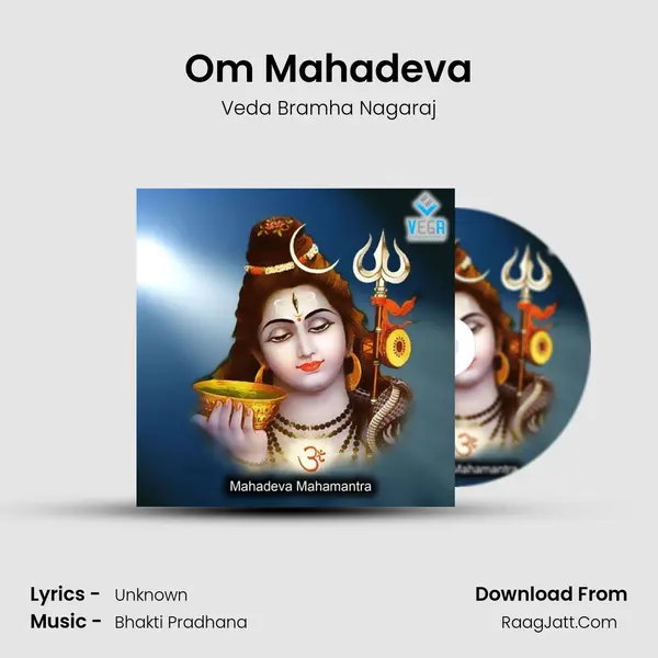 Om Mahadeva (Mahadeva Mahamantra) - Veda Bramha Nagaraj