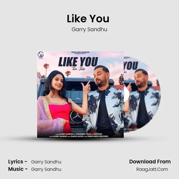 Like You (Tere Jaisi) - Garry Sandhu