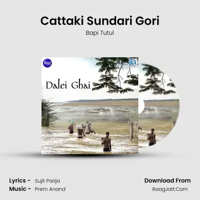 Cattaki Sundari Gori MP3 Song by Bapi Tutul Cover