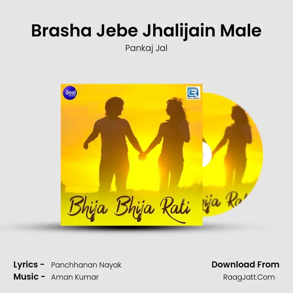 Brasha Jebe Jhalijain Male MP3 Song by Pankaj Jal Cover