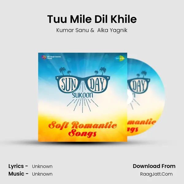 Tuu Mile Dil Khile MP3 Song by Kumar Sanu Cover