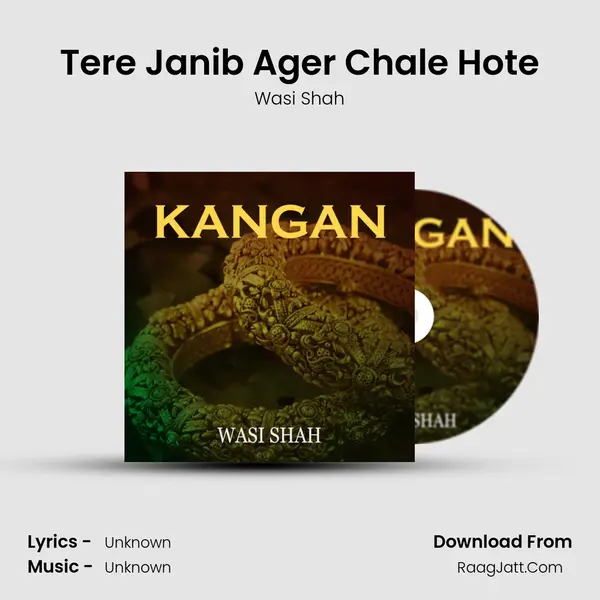 Tere Janib Ager Chale Hote MP3 Song by Wasi Shah Cover