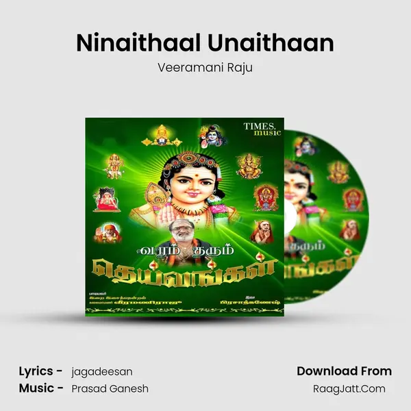 Ninaithaal Unaithaan MP3 Song by Veeramani Raju Cover