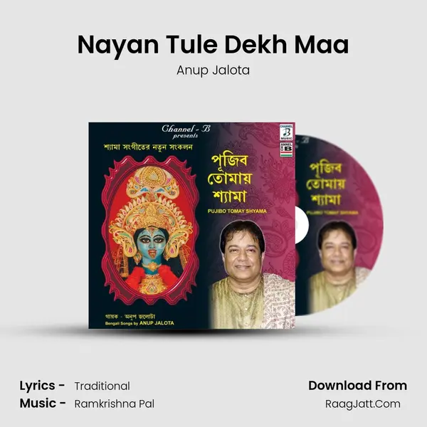 Nayan Tule Dekh Maa MP3 Song by Anup Jalota Cover