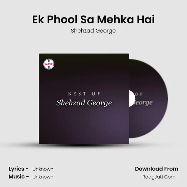 Ek Phool Sa Mehka Hai MP3 Song by Shehzad George Cover