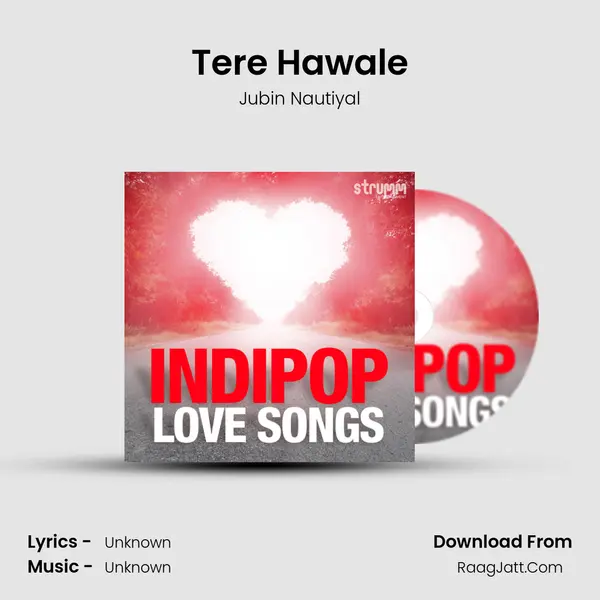 Tere Hawale Cover