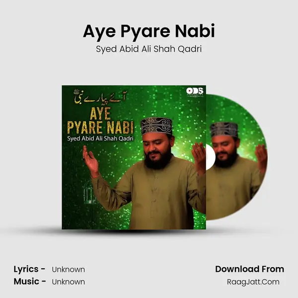 Aye Pyare Nabi - Single - Syed Abid Ali Shah Qadri