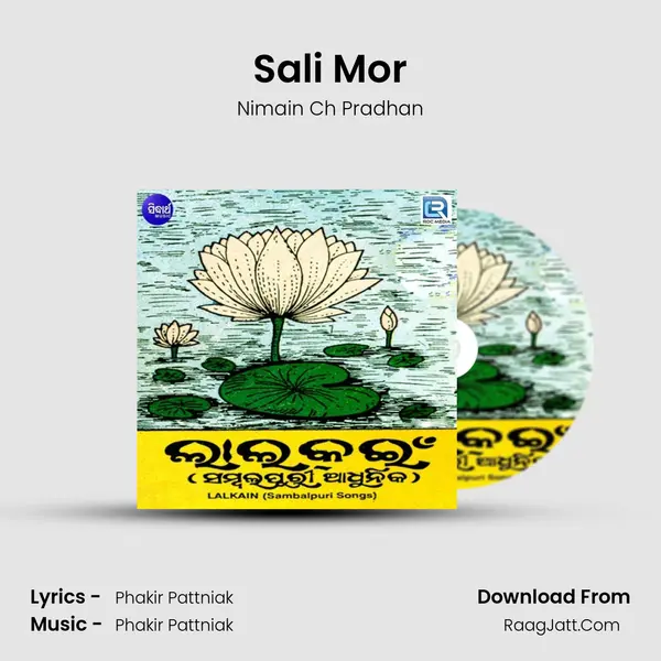 Sali Mor MP3 Song by Nimain Ch Pradhan Cover