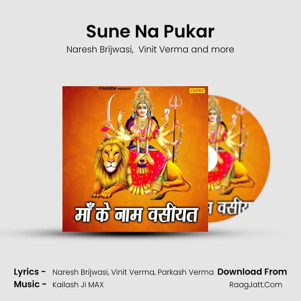 Sune Na Pukar MP3 Song by Naresh Brijwasi Cover