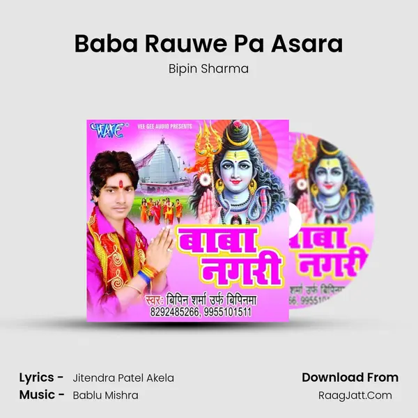 Baba Rauwe Pa Asara MP3 Song by Bipin Sharma Cover