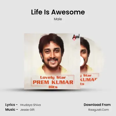 Life Is Awesome MP3 Song by Male Cover