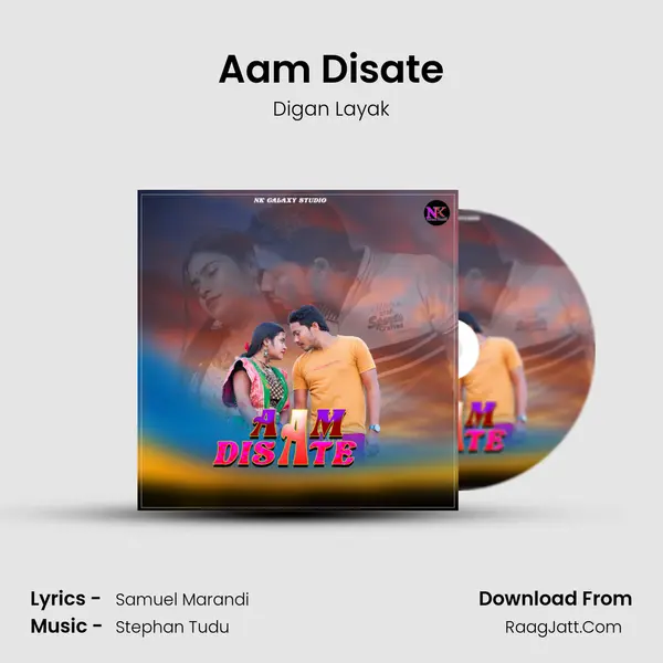 Aam Disate - Digan Layak