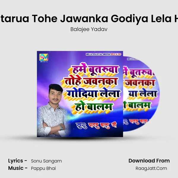 Hame Butarua Tohe Jawanka Godiya Lela Ho Balam mp3 song