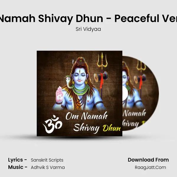 Om Namah Shivay Dhun - Peaceful Version MP3 Song by Sri Vidyaa Cover