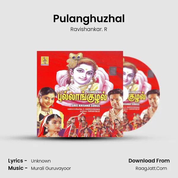 Pulanghuzhal MP3 Song by Ravishankar. R Cover