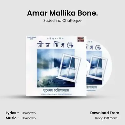 Nil Digante Sudeshna Chatterjee - Sudeshna Chatterjee