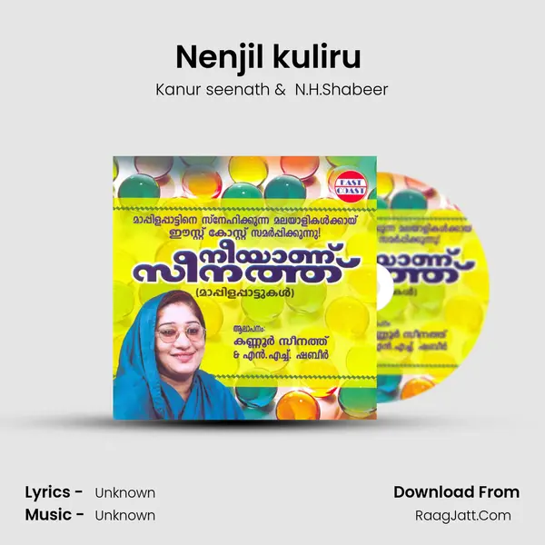 Nenjil kuliru (DUET) MP3 Song by Kanur seenath Cover