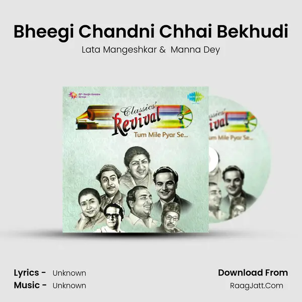 Bheegi Chandni Chhai Bekhudi Cover