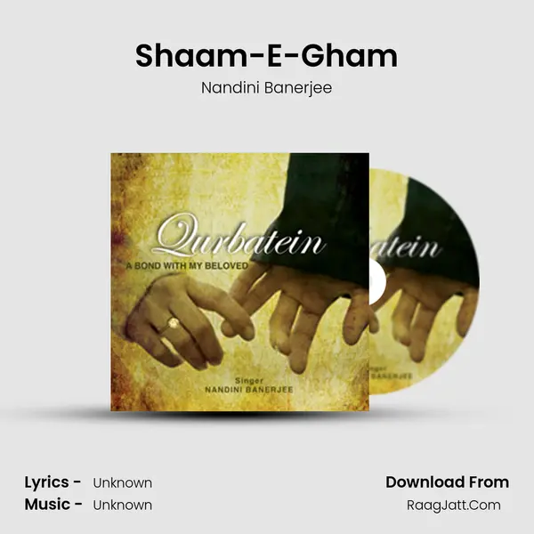 Shaam-E-Gham MP3 Song by Nandini Banerjee Cover