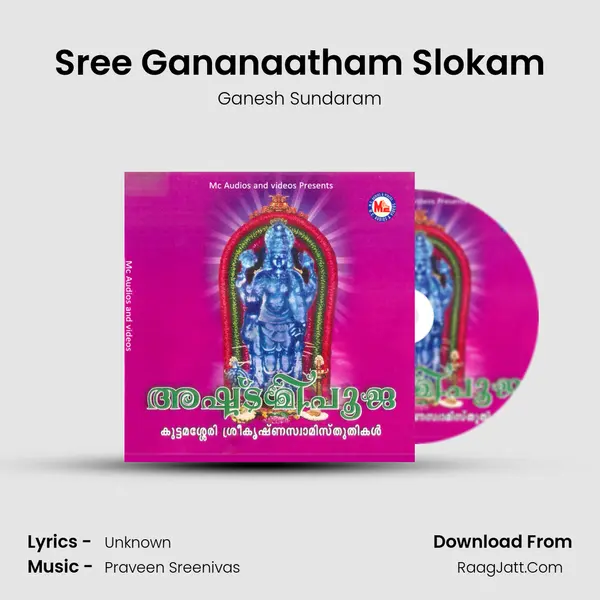 Sree Gananaatham Slokam MP3 Song by Ganesh Sundaram Cover