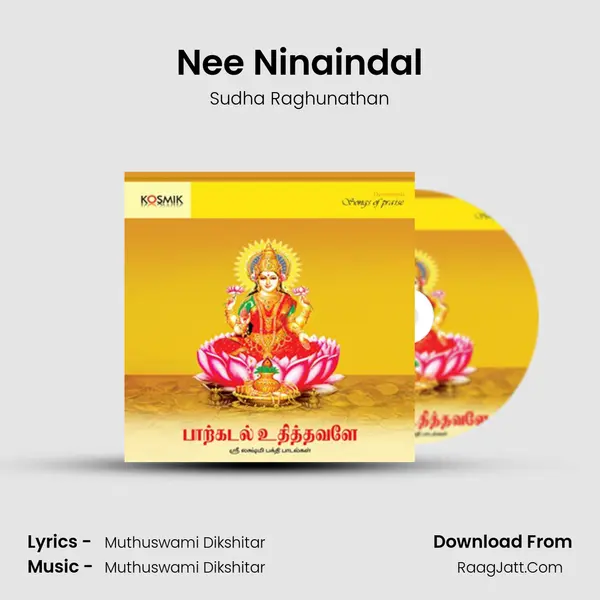 Nee Ninaindal MP3 Song by Sudha Raghunathan Cover