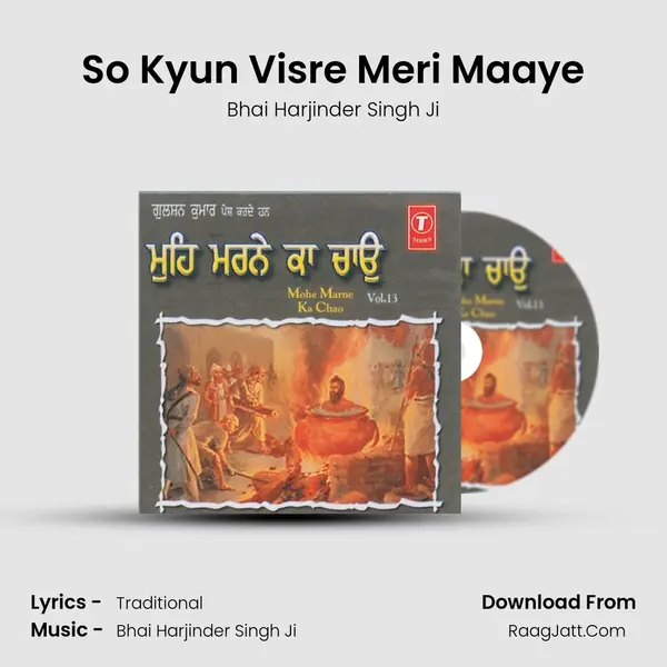 So Kyun Visre Meri Maaye MP3 Song by Bhai Harjinder Singh Ji Cover