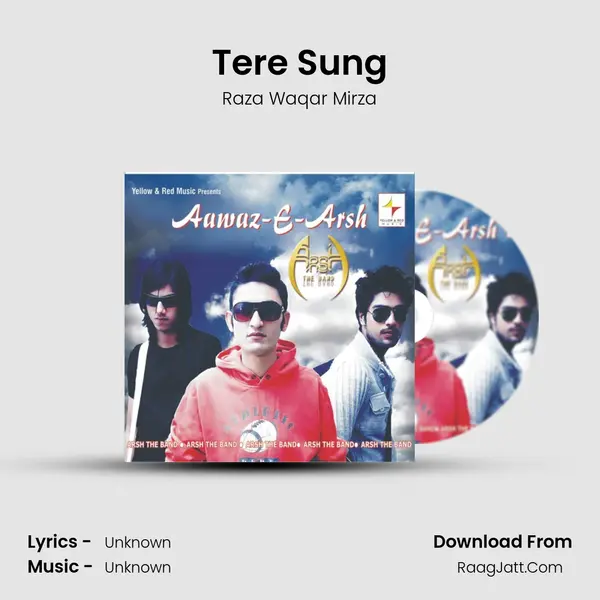 Tere Sung MP3 Song by Raza Waqar Mirza Cover