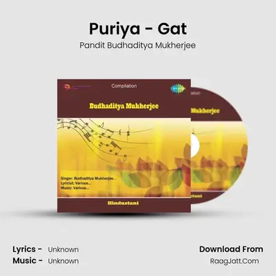 Puriya - Gat MP3 Song by Pandit Budhaditya Mukherjee Cover