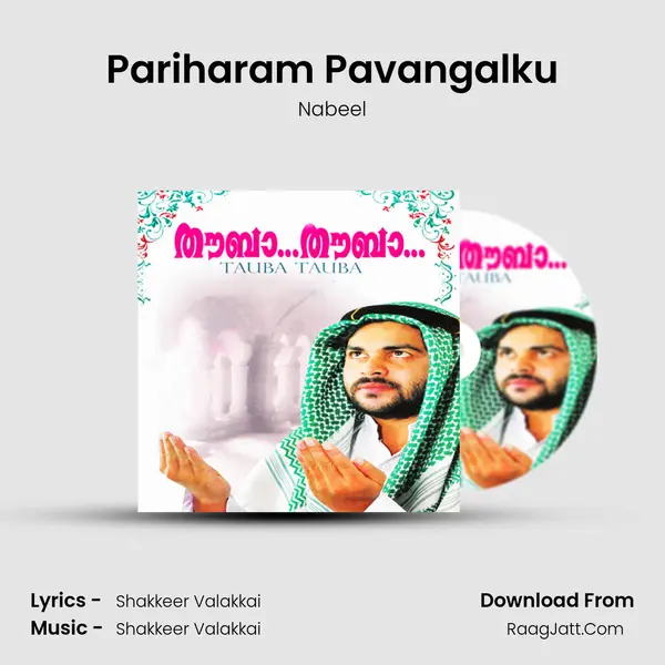 Pariharam Pavangalku MP3 Song by Nabeel Cover